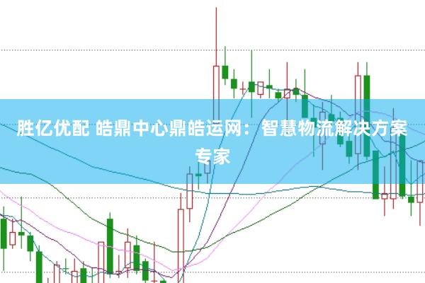 胜亿优配 皓鼎中心鼎皓运网：智慧物流解决方案专家