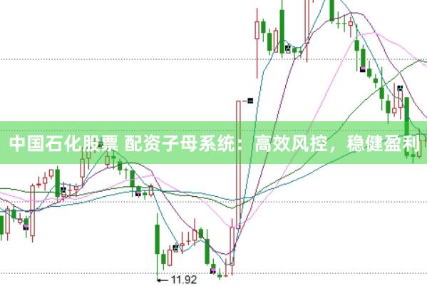 中国石化股票 配资子母系统：高效风控，稳健盈利