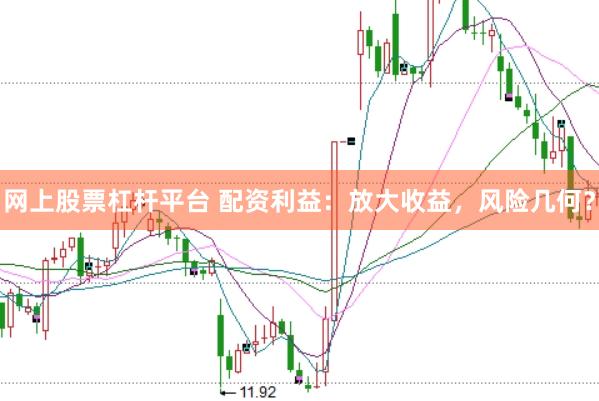 网上股票杠杆平台 配资利益：放大收益，风险几何？