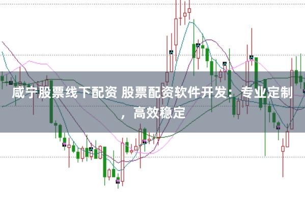 咸宁股票线下配资 股票配资软件开发：专业定制，高效稳定