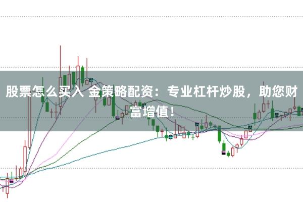 股票怎么买入 金策略配资：专业杠杆炒股，助您财富增值！