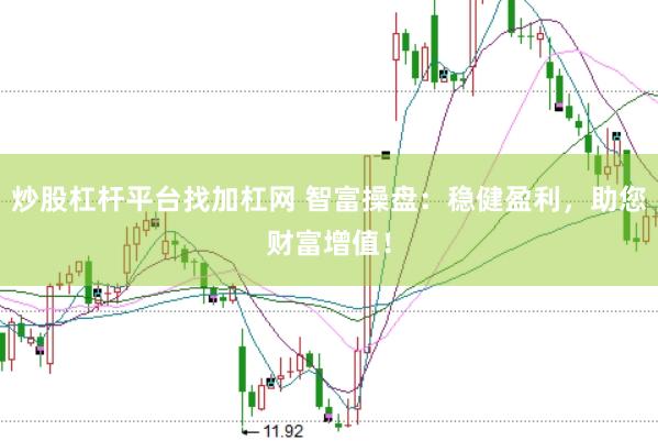 炒股杠杆平台找加杠网 智富操盘：稳健盈利，助您财富增值！