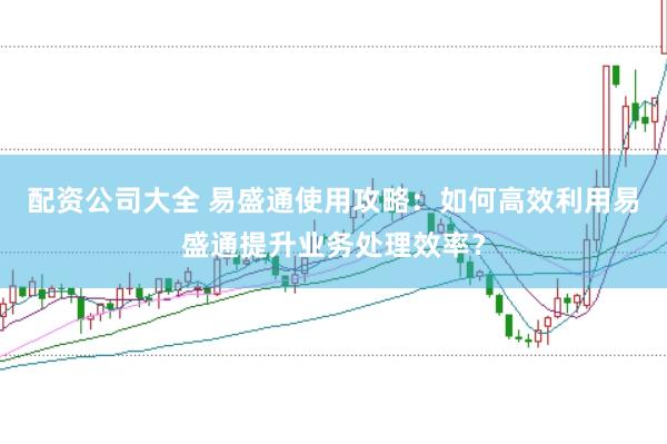 配资公司大全 易盛通使用攻略:如何高效利用易盛通提升业务处理效率?