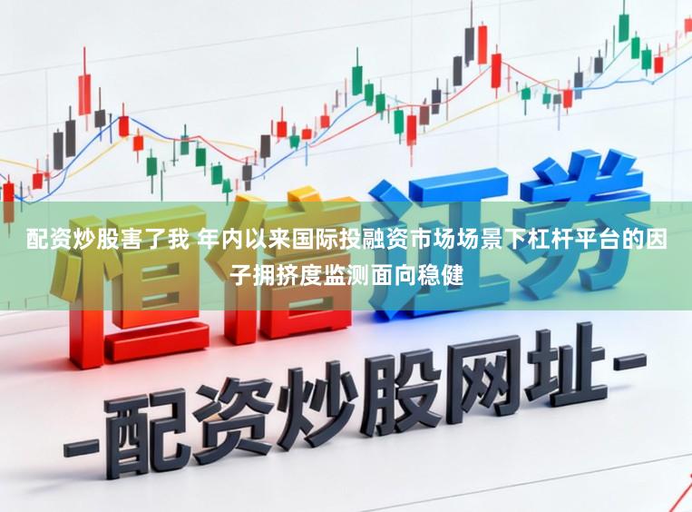 配资炒股害了我 年内以来国际投融资市场场景下杠杆平台的因子拥挤度监测面向稳健